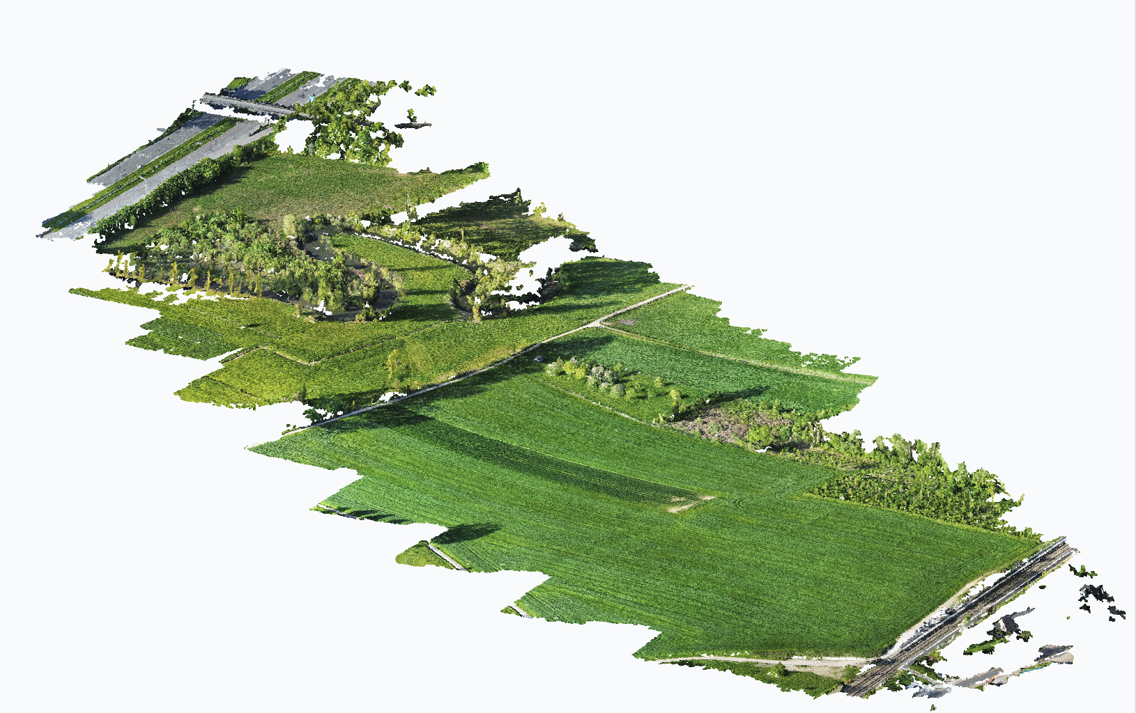 Preview of the transect point cloud.